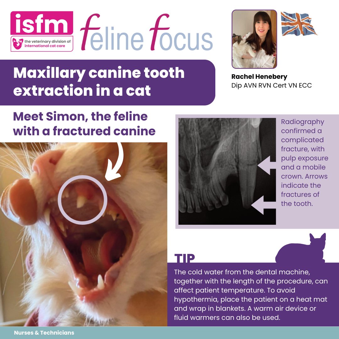 iCatCare Veterinary Society (Formely ISFM) tweet media