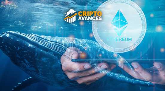 CriptoAvances's tweet photo. Ballena de #Ethereum mueve 2,000 #ETH después de 8 años 

| Cripto Avances

▶️ https://t.co/X8vo76G5i7

🔥 Visita nuestro sitio Web 🔥 https://t.co/AB3LzAmCPH