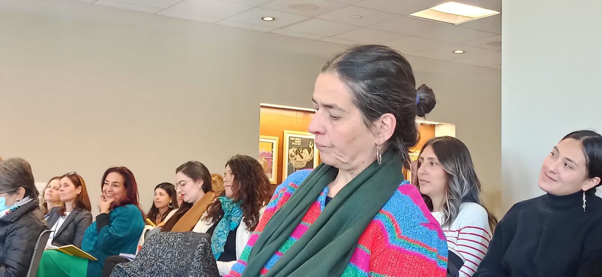 #Alianza1325 Mujeres, Paz y Seguridad es la confluencia de 14 organizaciones feministas convencidas de que el gobierno que asumiera la presidencia debía formular un Plan Nacional de Acción de la 1325 y hoy lo estamos implementando con  la participación amplia de las mujeres.