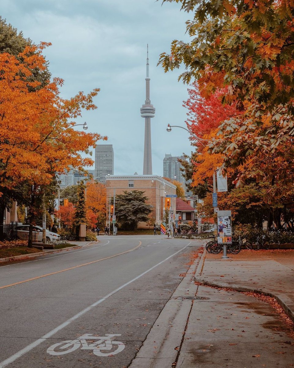 Fall has fallen on campus at #UofT 🍂 What's your favourite place to see the autumn colours here?

📸: <a href="/arjsun_/">Arjun Yadav</a>