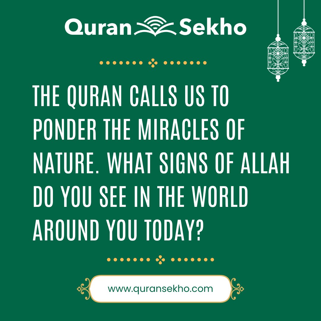 As the Quran beckons, let's find Allah's miracles in every leaf, every breeze.

What divine signs are revealing themselves to you in the world today?

#QuranReflections #quransekho #DivineNature #MiraclesEverywhere #SignsOfAllah #ReflectAndWitness #SpiritualAwakening