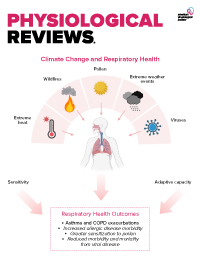 APSPublications's tweet image. New in @physiolrev: #Netosis creates a link between #diabetes and Long #COVID (Alain R. Thierry)  

ow.ly/FI3A50PZqus

@Inserm #CirculatingDNA #metformin #LongCOVID #NeutrophilExtracellularTraps #ArticlesinPress