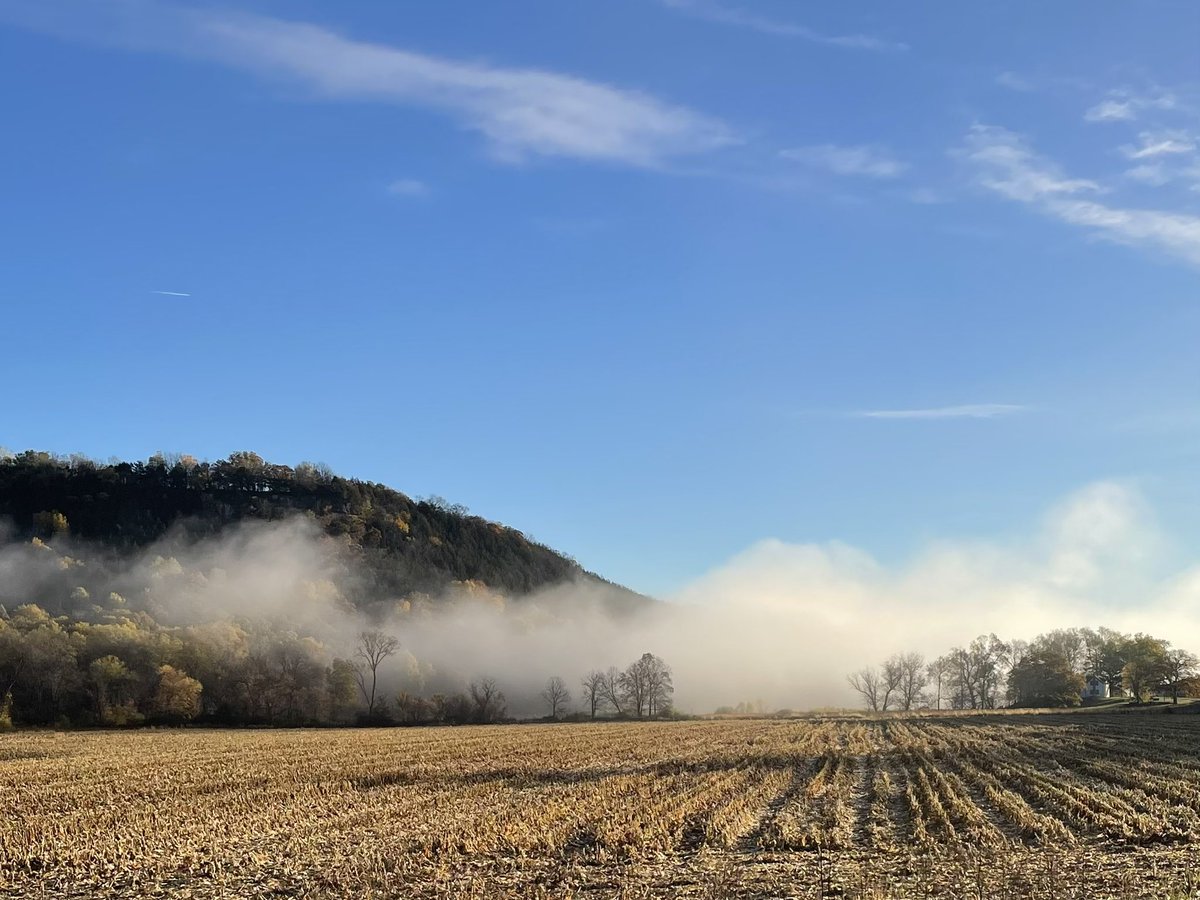 Jim Brown tweet media