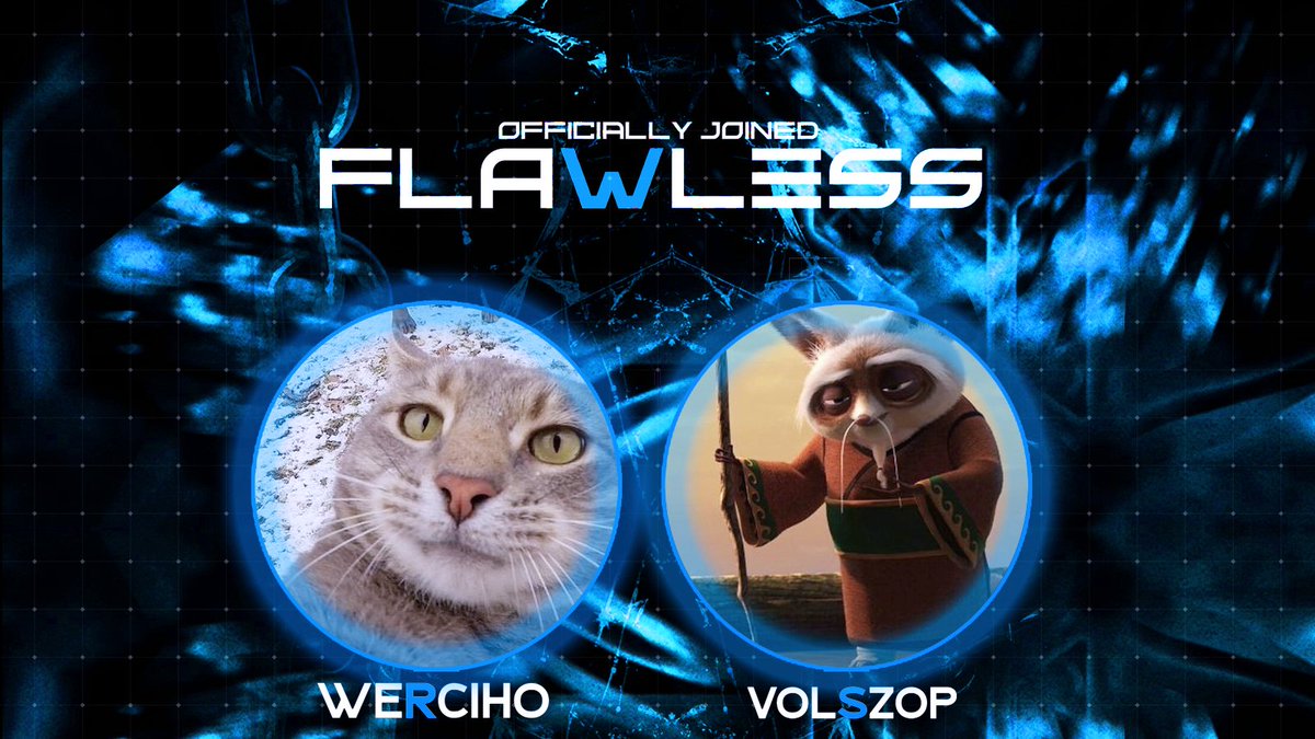 Team Flawless tweet media