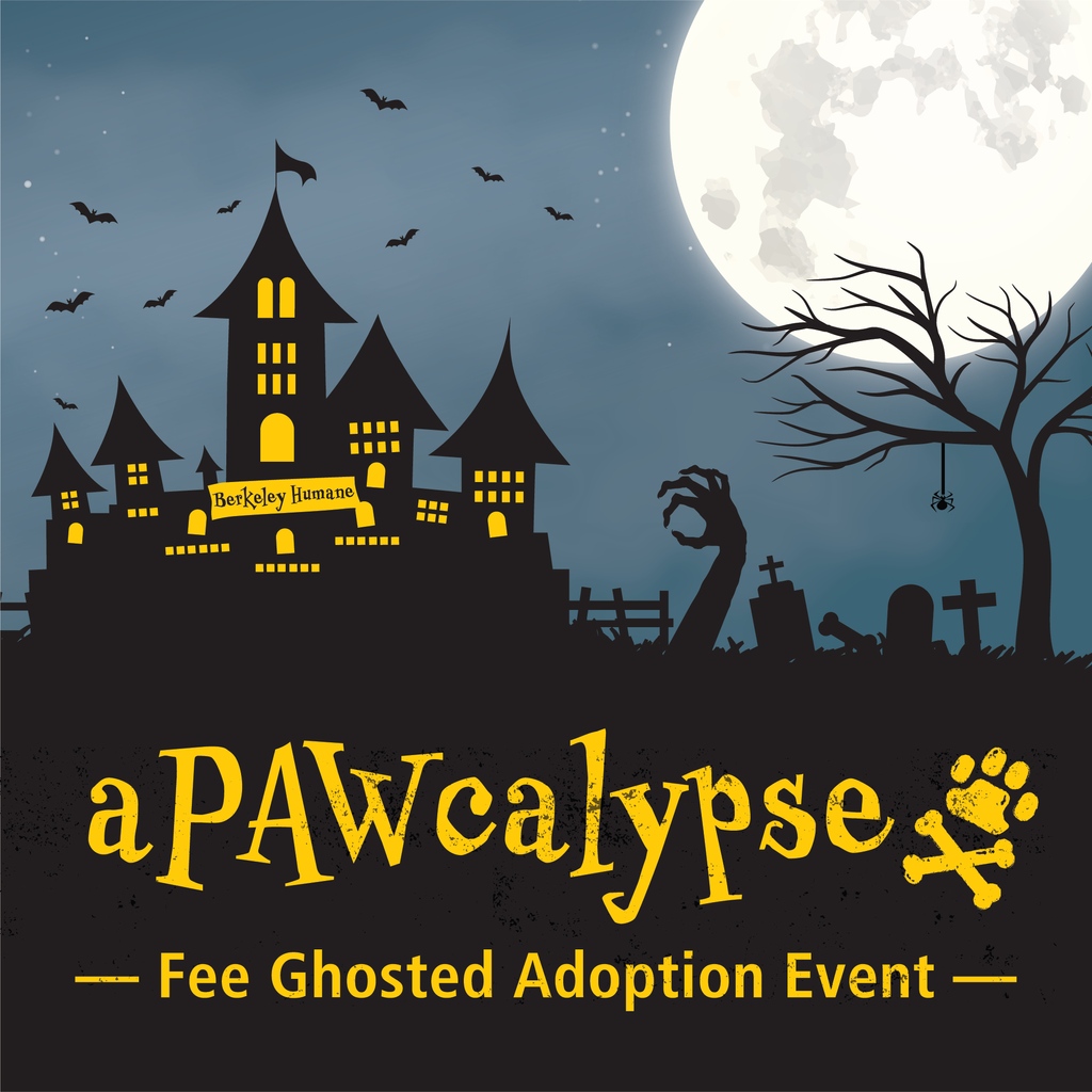 The aPAWcalypse is coming this Saturday, October 28, 10am-2pm! Adoption fees will be ghosted (a.k.a. waived) and our wicked cute shelter animals will be in costumes! Time to add an MVP to your aPAWcalypse survival team! #adopt #halloween