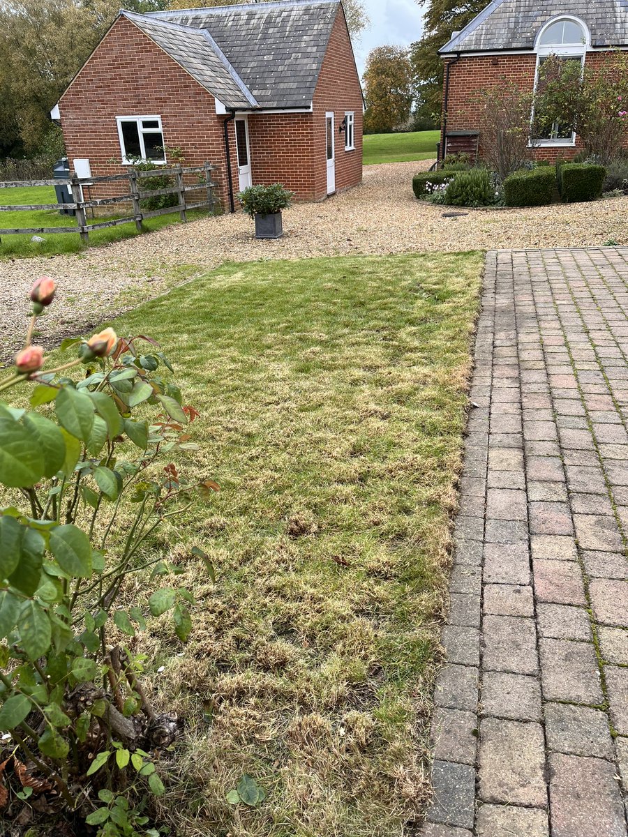 DH_Maintenance's tweet photo. When we had some #decent #weather a few weeks back sprayed the #blockpaving was able to take all the #deadgrowth out & trying to get the awful grass backπ now needs a #mosskiller spray & clean out of all the joints π have a great evening everyone β€οΈ https://t.co/Lt8mfYqC1F