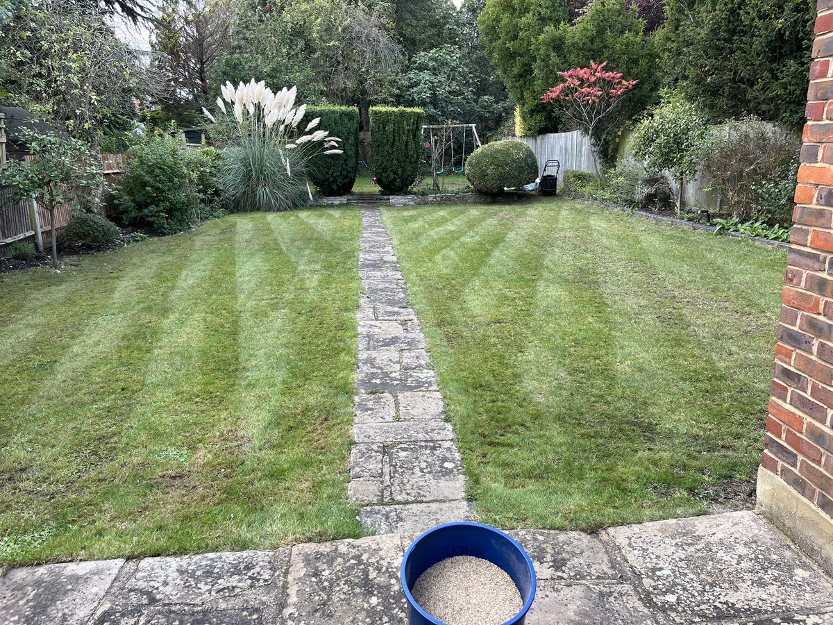 2002Gat's tweet photo. Autumn lawn renovation #patchoftheday https://t.co/xMNjdML2gh