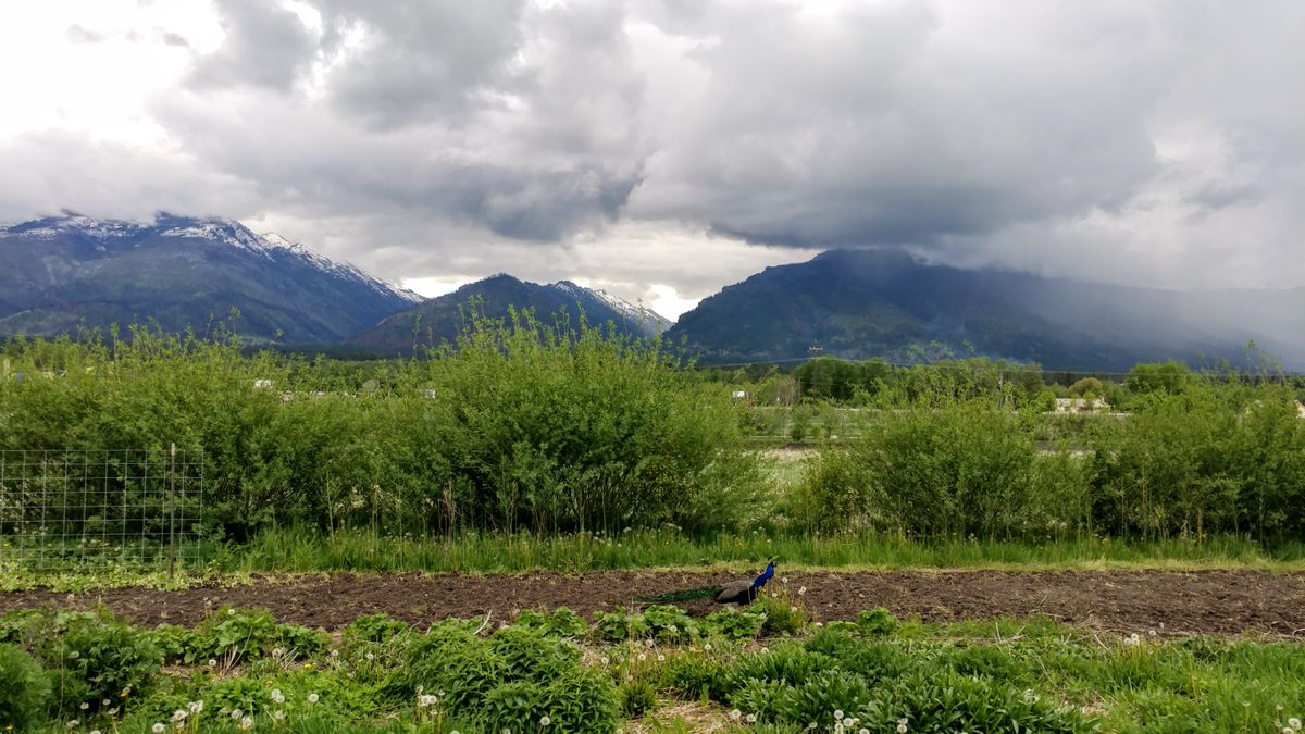 It's #MemberMonday and time to share another success story from the network! This week, you can find out how the <a href="/RMFUnion/">Rocky Mountain Farmers Union</a> is teaming up with other local orgs to build worker power with a worker-owned ag co-op. Stay tuned for more #CoopMonth updates!
cooperationworks.coop/success_storie…