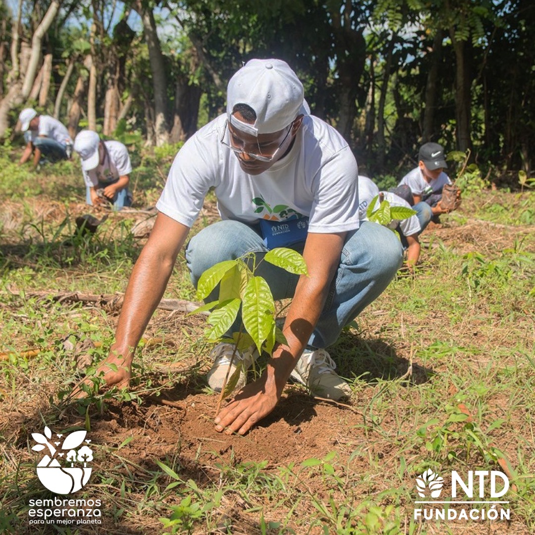 Fundacion NTD tweet media