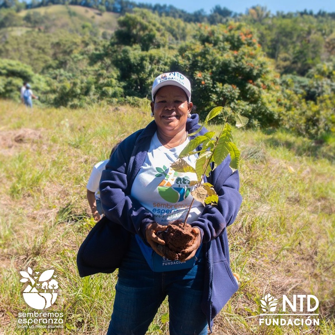 Fundacion NTD tweet media