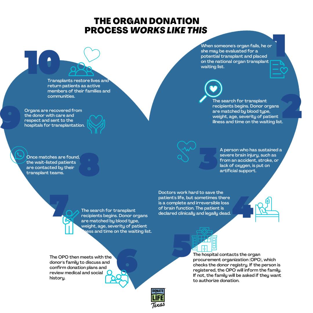 LifeGift's tweet photo. The more-you-know-Monday! Have you ever been curious about how the organ donation process works? This graphic from #DonateLifeTexas sums it up nicely!

@DonateLifeTexas #sayyes #organdonation #donatelife https://t.co/8prB488fYL