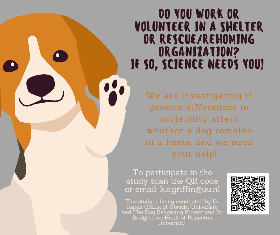Shelters/rehoming orgs are still needed for a study I'm working on investigating potential genetic differences in sociability, which are expected to help to increase the likelihood of successful rehoming and improve dog welfare! To sign up: forms.gle/66yG21r2t76xfp…
Please share!