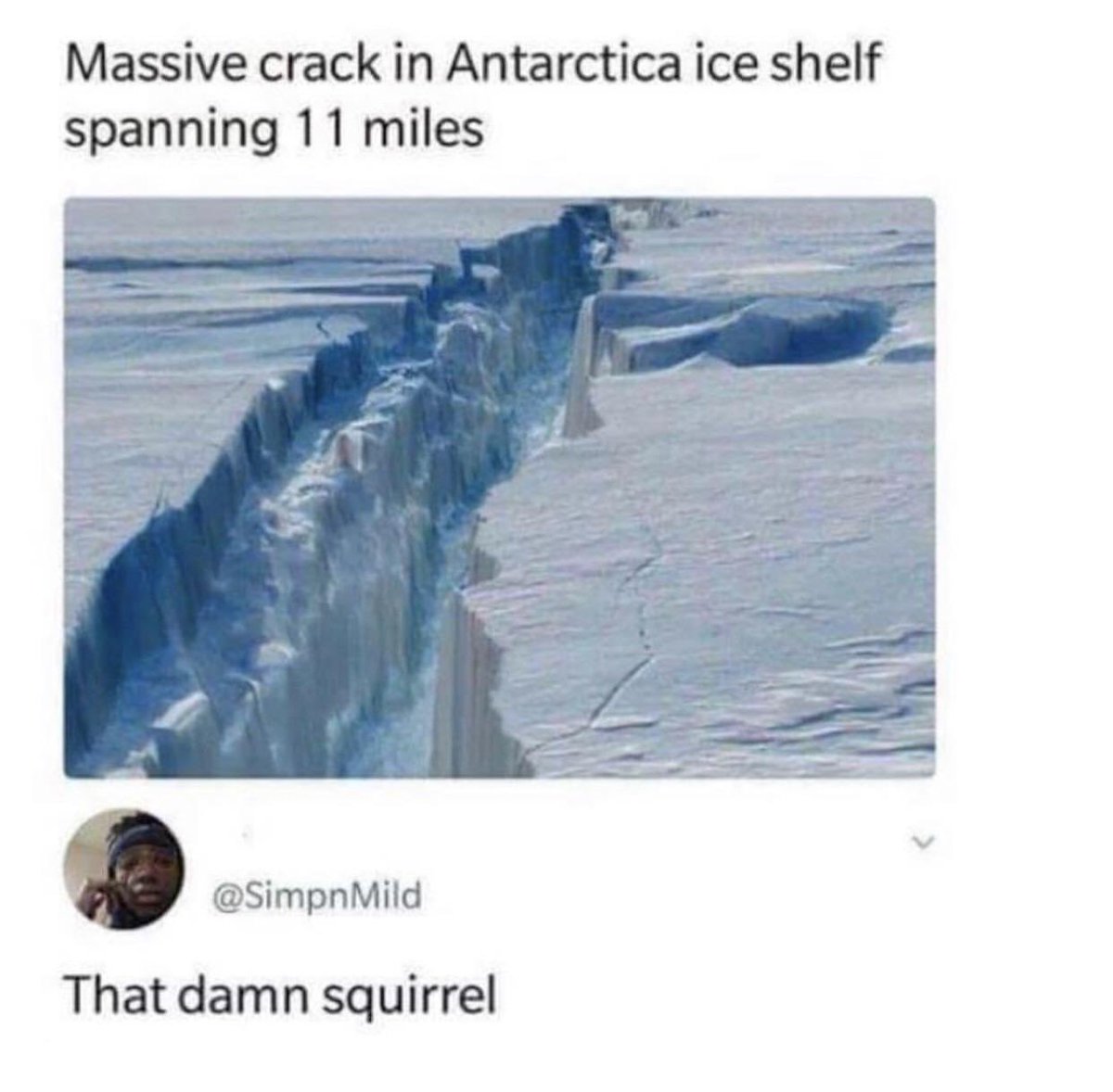 internet hall of fame (@interneth0f) on Twitter photo 