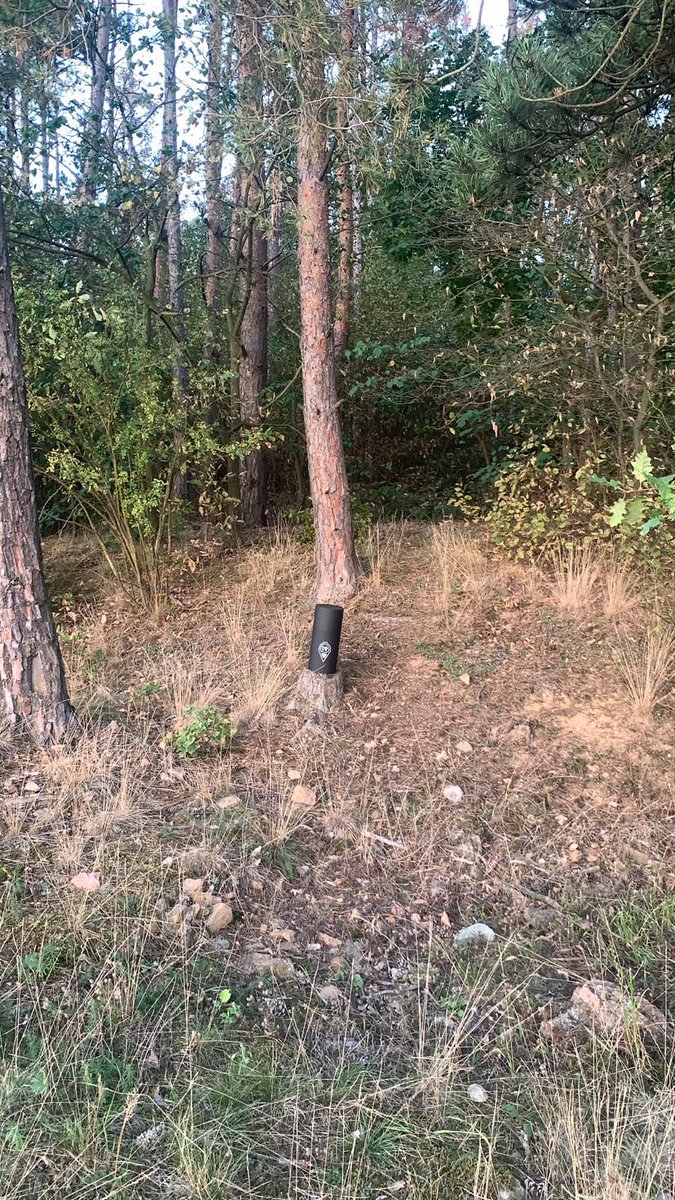 Escape from Site 19 tweet media