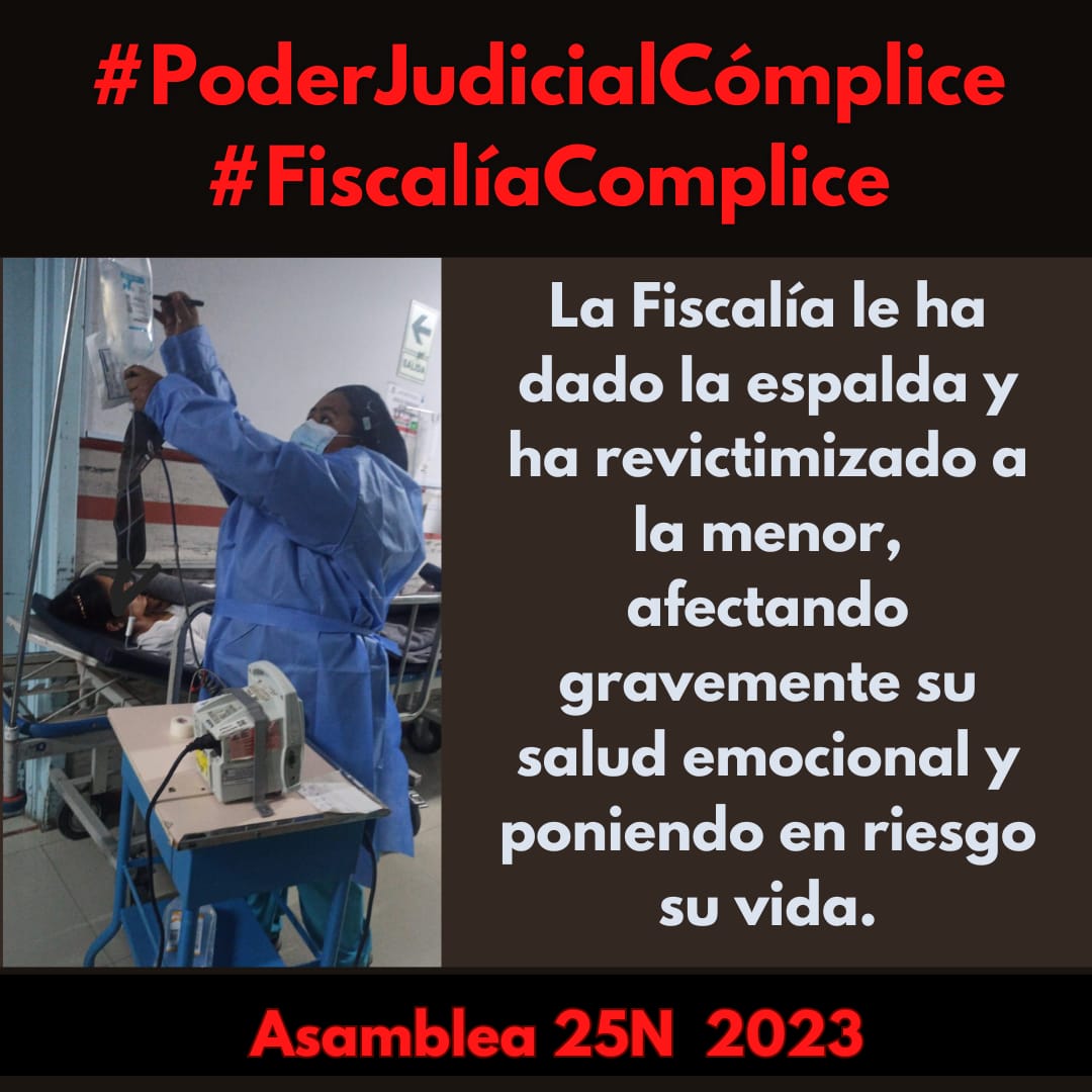 Paro Colectiva #DinaAsesina #LoMatóLaPolicía tweet media