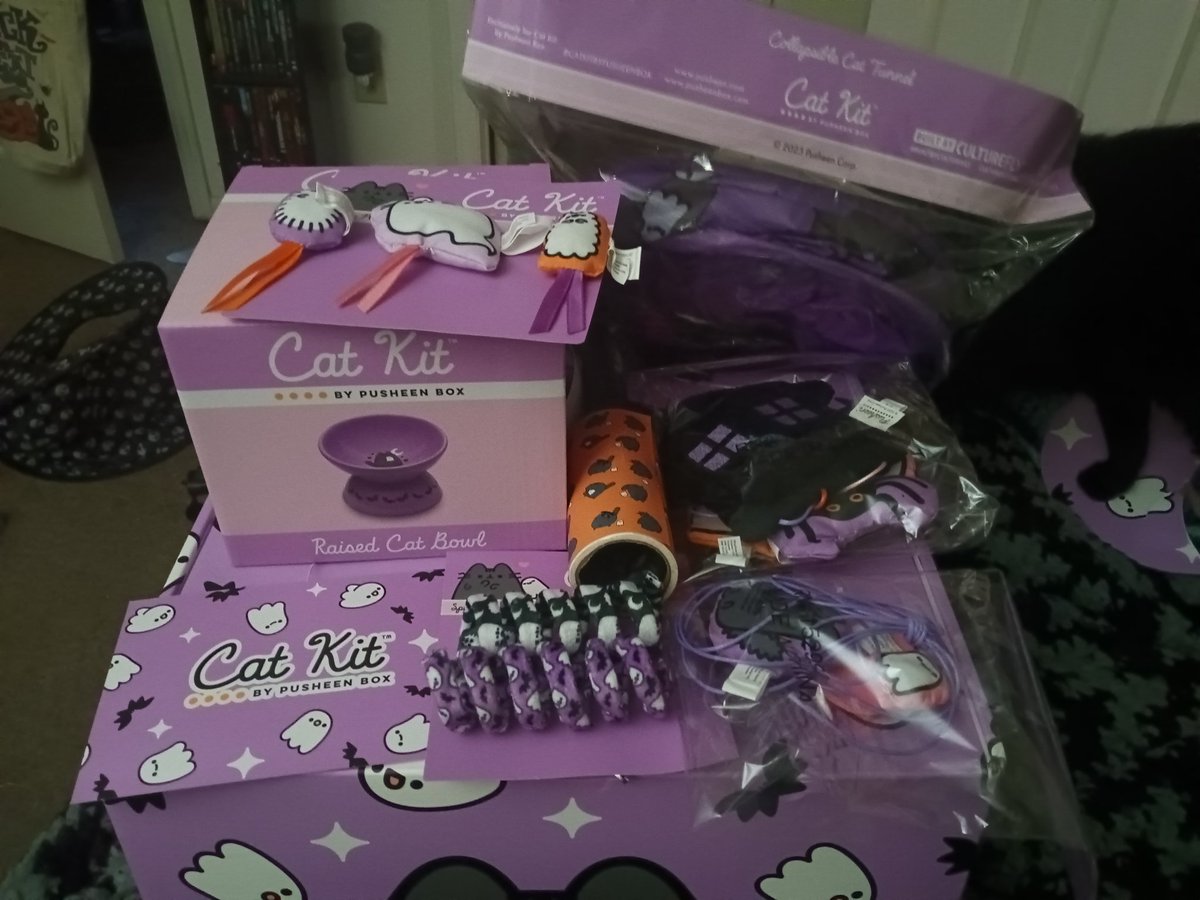 LadyPanda13's tweet photo. #Catkit arrived first. #pusheenbox #pusheen #catkitbypusheen #spookyseason #spookymonth #scaredycat #Halloween #Halloween2023 #codeorange @pusheenbox @Pusheen #blackcats #blackcat #CatsOfTwitter #catsontwitter #catsofinstagram #CatsOfX https://t.co/gX8qX398GC