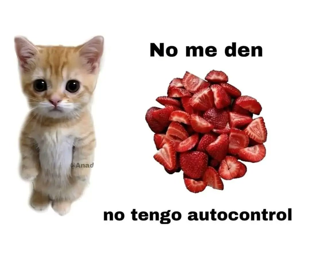 solo pienso en comer frutillas