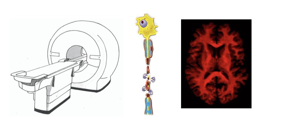 jfajansenphd tweet picture