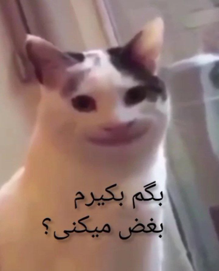 R06Sh's tweet photo. @Sbztun عالیه که اعلام وضعیت میکنی💕 https://t.co/FkI6ltIpIV