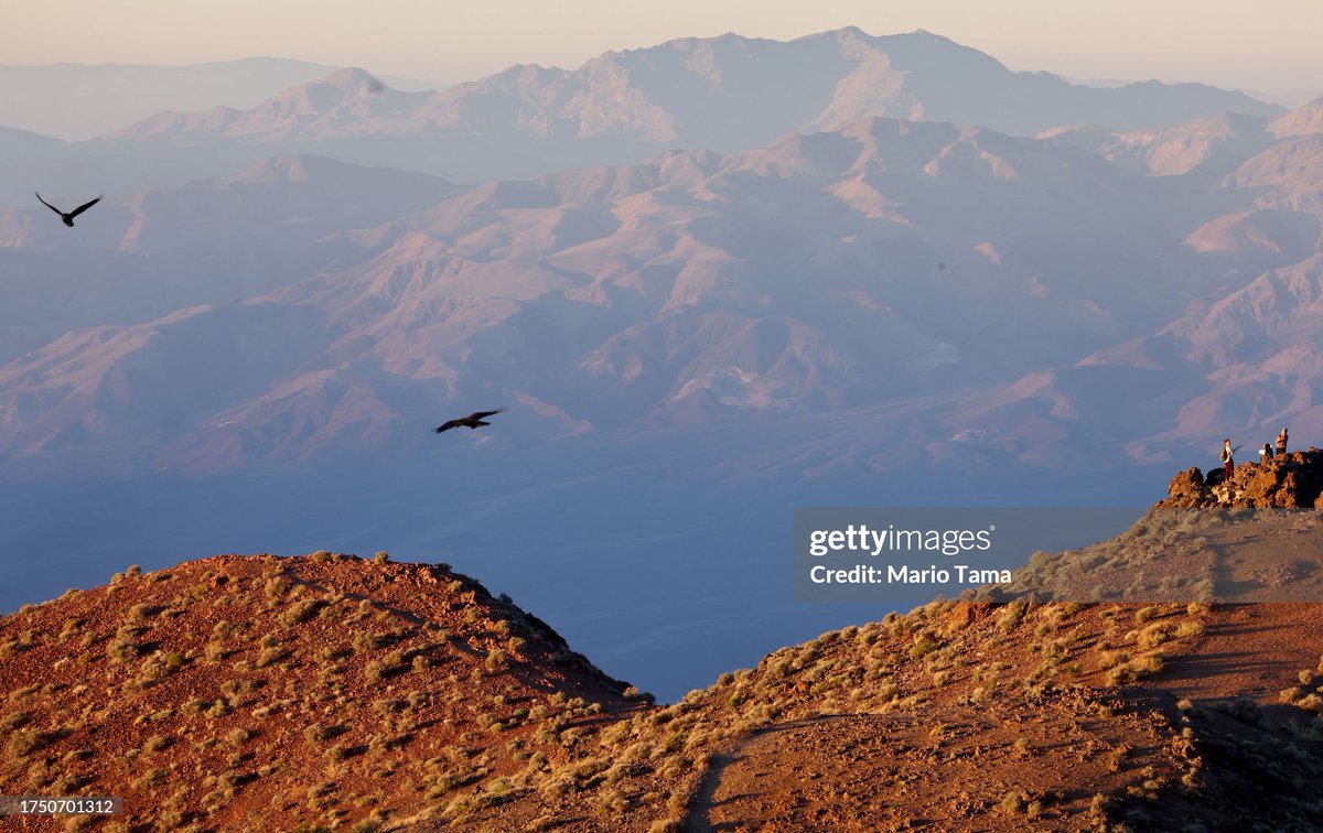 GettyImagesNews tweet picture