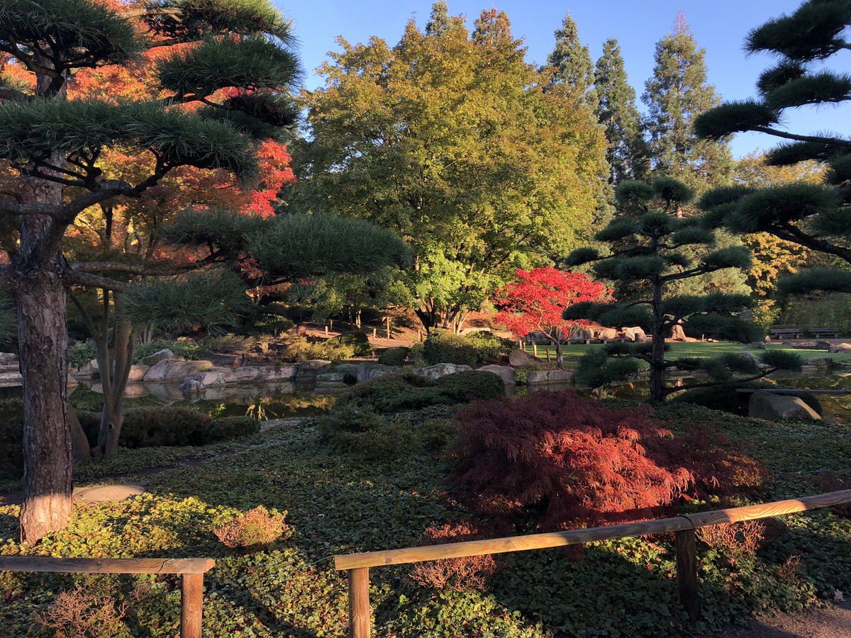 sTravelSpots's tweet photo. Sunny autumn walk in Planten un Blomen in Hamburg - Japanischer Garten

#plantenunblomen #japanischergarten #hamburg #germany #autumn https://t.co/alMhOg8VYs