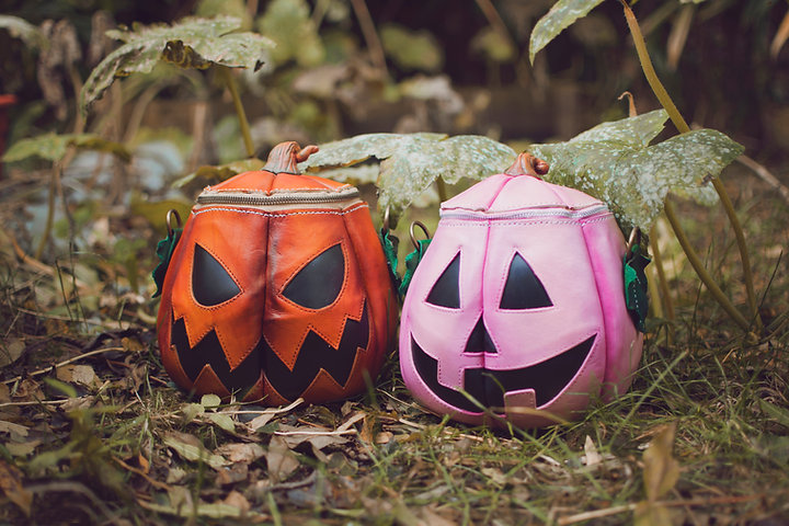 The Wolf Workshop tweet media