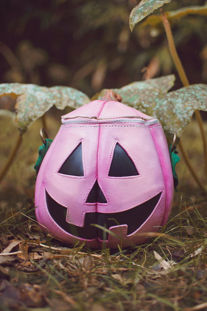 The Wolf Workshop tweet media