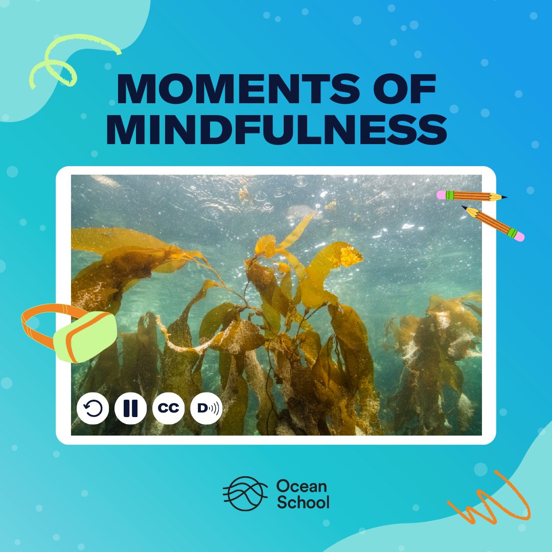 OceanSchoolNow's tweet image. 🌊Did you know that our 360 videos are compatible with tablets, computers, smart phones, and VR headsets? Check out our easy-to-use classroom resources here: oceanschool.nfb.ca/media/moments-… 

#OceanSchool #360Video #LearningJourney #DiveIntoLearning #CanEd #ONTed #BCed #ABed #SKed #MBEdu