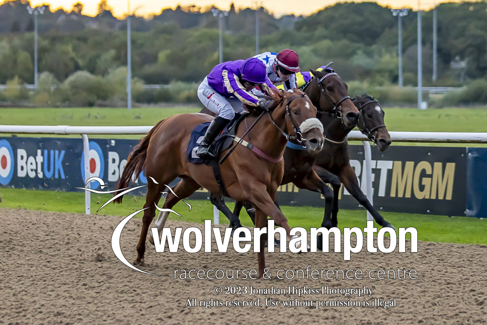 RACE 5 RESULT - Build Your Acca With @BetUKOfficial Handicap 🥇 Show Compassion Jockey: @FMcmanoman Trainer: @mdodsracing 📷 @WolvesRacesPics #WolvesRaces | #WOLTWI