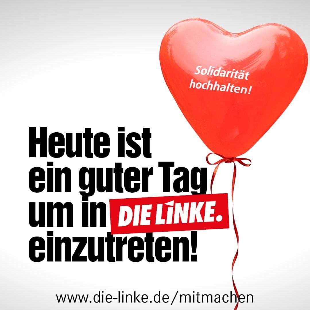 DIE LINKE Dithmarschen tweet media