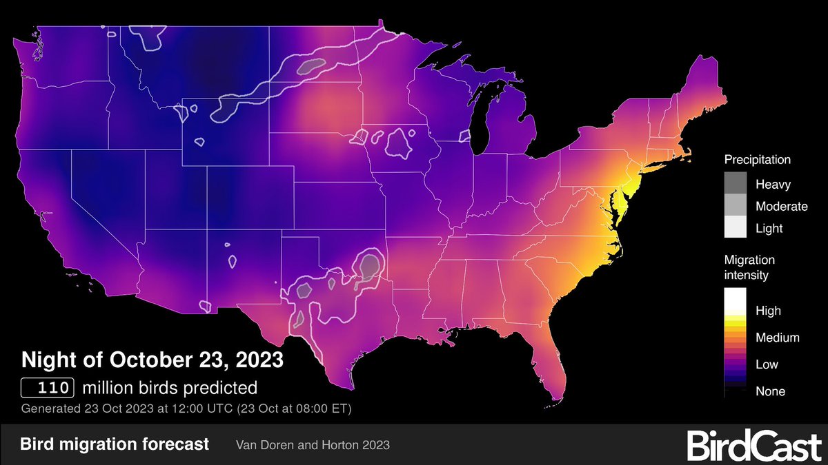 Migration alert tonight for NYC. Turn off all nonessential lights between 11pm and 6am.    BirdCast predicts high intensity bird migration tonight in our area. birdcast.info/migration-tool…