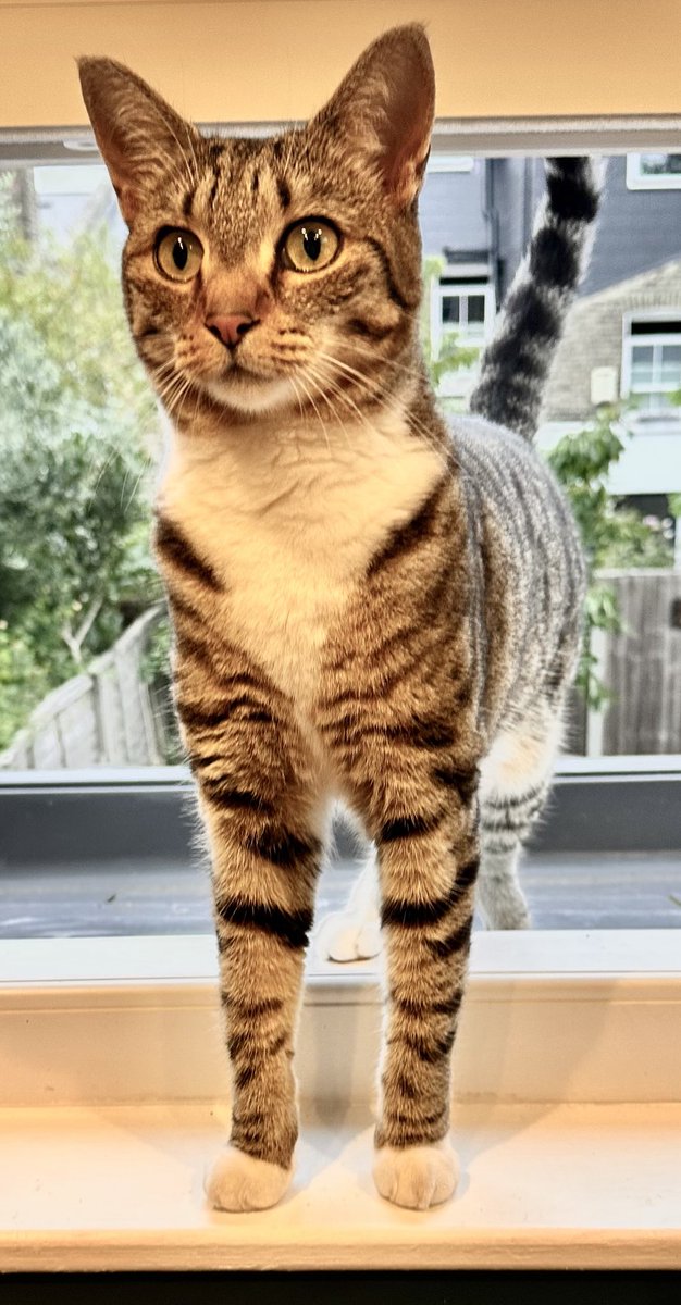 Carla Plymen tweet media