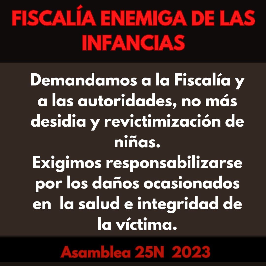 Paro Colectiva #DinaAsesina #LoMatóLaPolicía tweet media