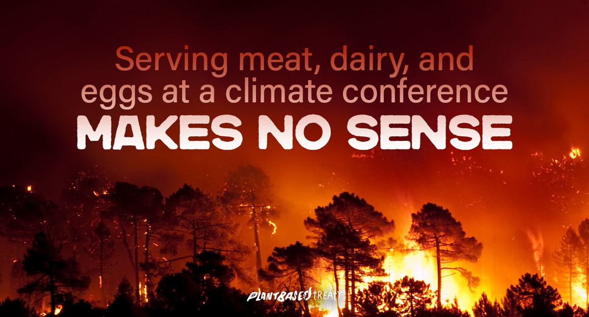 Serving animal products at <a href="/COP28_UAE/">COP28 UAE</a> is akin to serving cigarettes at a lung cancer prevention conference – it makes absolutely no sense! Ask #COP28 to provide a 100% plant-based catering:  ctt.ec/c9wRm+ <a href="/uaeclimateenvoy/">Office Of The UAE Special Envoy For Climate Change</a> #MakeCOP28Vegan