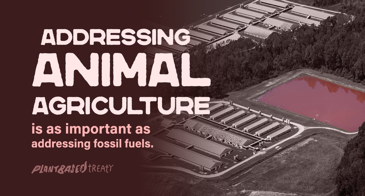 Even if fossil fuel emissions were halted today, emissions from the food system alone could increase global temperatures by more than 1.5C. Sign the petition to demand <a href="/COP28_UAE/">COP28 UAE</a> provide a fully plant-based catering: ctt.ec/E3Ylw+ #MakeCOP28Vegan