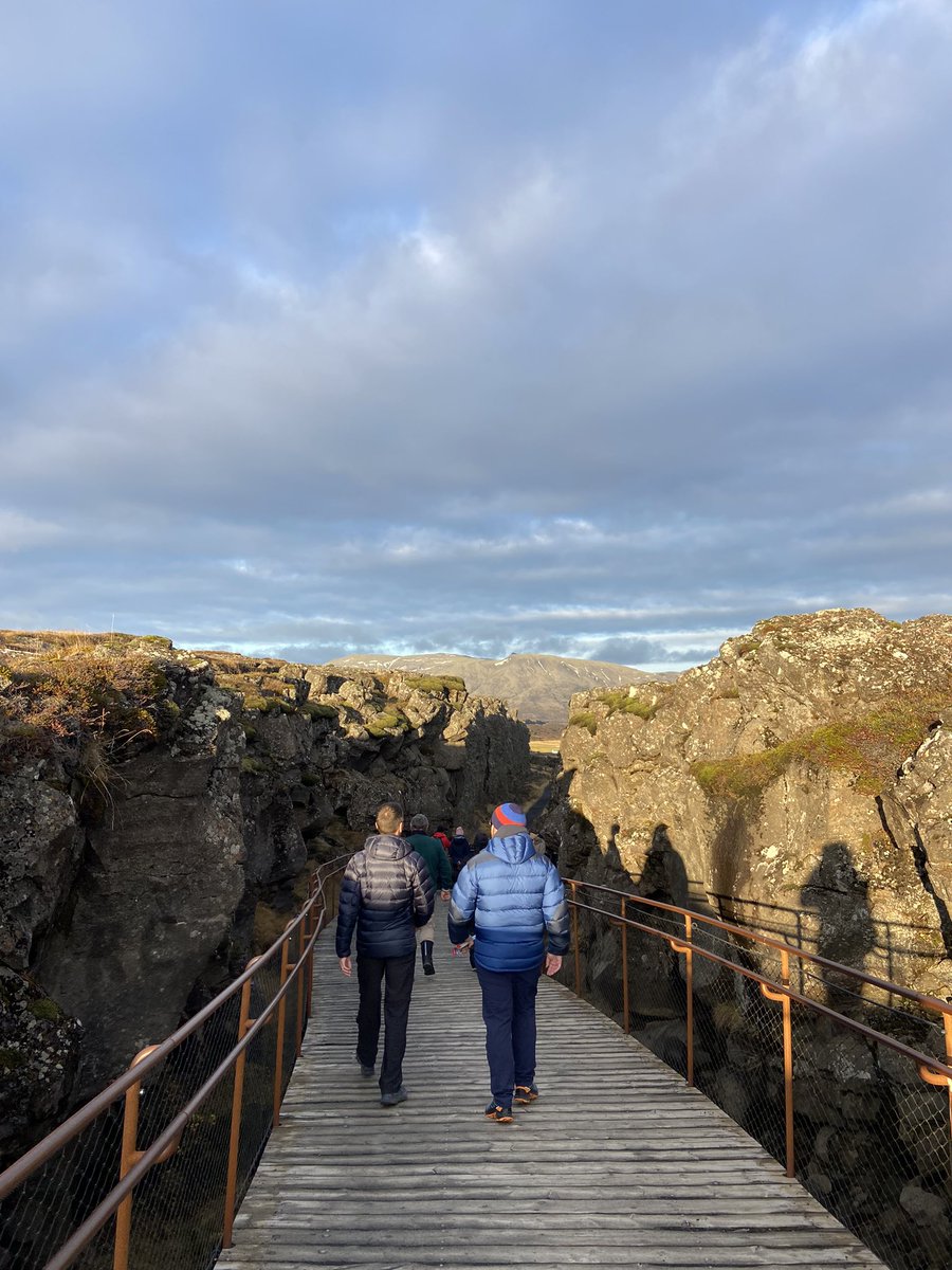 Ripley Geography tweet media