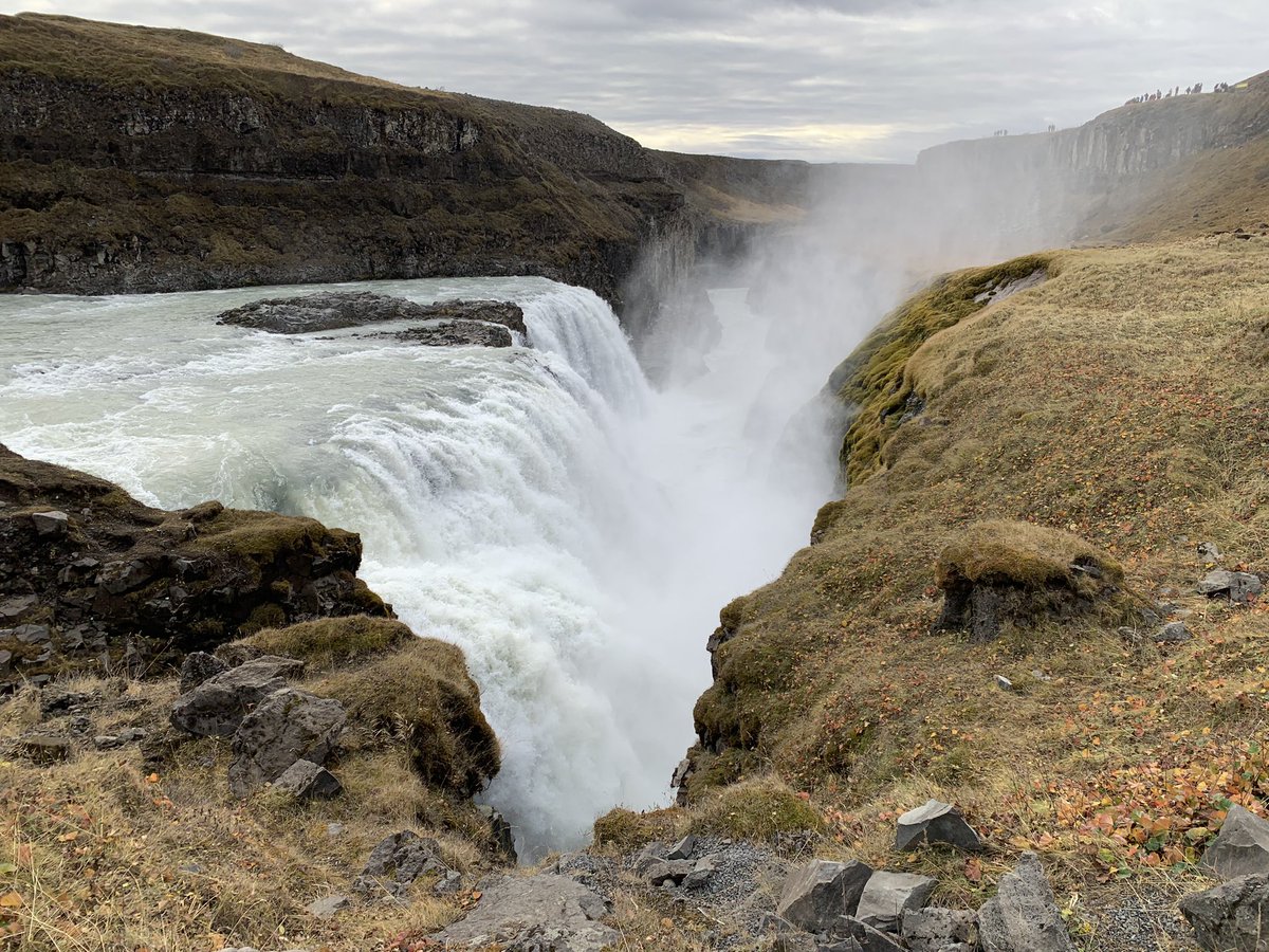 Ripley Geography tweet media