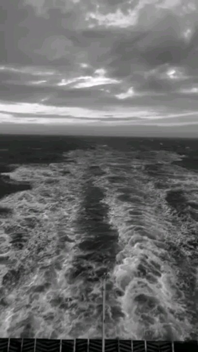 PhaseBand's tweet photo. Sailing the musical waves! 🎶🚢 #FerryTunes #RockingTheBoat #phase #phaseship#phaseband https://t.co/ol01VmLvWS https://t.co/9CUVOJmqdh
