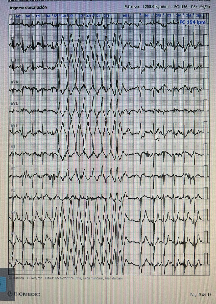 ALBERTO ALFIE tweet media