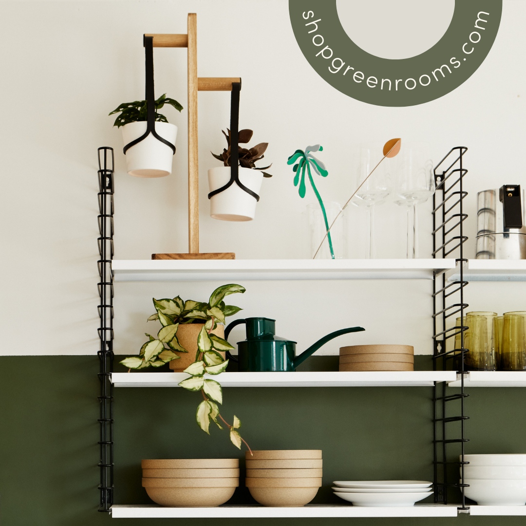 Why we launched our online marketplace...for you to shop from multiple indie brands in one place, in one transaction. There are planty products from 5 small businesses in this photo all available at shopgreenrooms.com⁠
#shopsmall #plantshelf