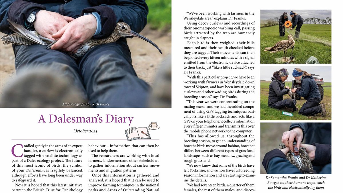 Walking Photographer (@richbunce) on Twitter photo Great feature in this month's Dalesman, from a really special day spent with <a href="/_SamanthaFranks/">Dr Samantha Franks</a> & <a href="/modelbirder/">Katharine Bowgen</a> from <a href="/_BTO/">BTO</a> in the <a href="/yorkshire_dales/">Yorkshire Dales National Park</a>
Full article and more photos in the October edition of the Dalesman. #curlew #conservation Great feature in this month's Dalesman, from a really special day spent with <a href="/_SamanthaFranks/">Dr Samantha Franks</a> & <a href="/modelbirder/">Katharine Bowgen</a> from <a href="/_BTO/">BTO</a> in the <a href="/yorkshire_dales/">Yorkshire Dales National Park</a>
Full article and more photos in the October edition of the Dalesman. #curlew #conservation