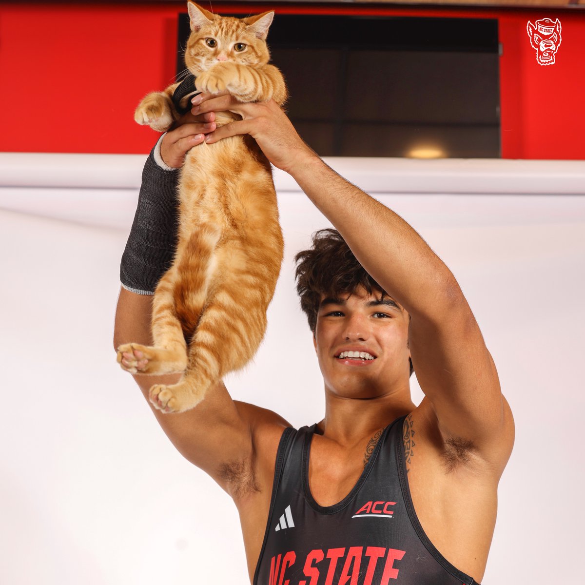 PackAthletics's tweet image. Even cats are part of the Pack! Happy #NationalCatDay to those who meow instead of growl 😺

#GoPack | @PackWrestle