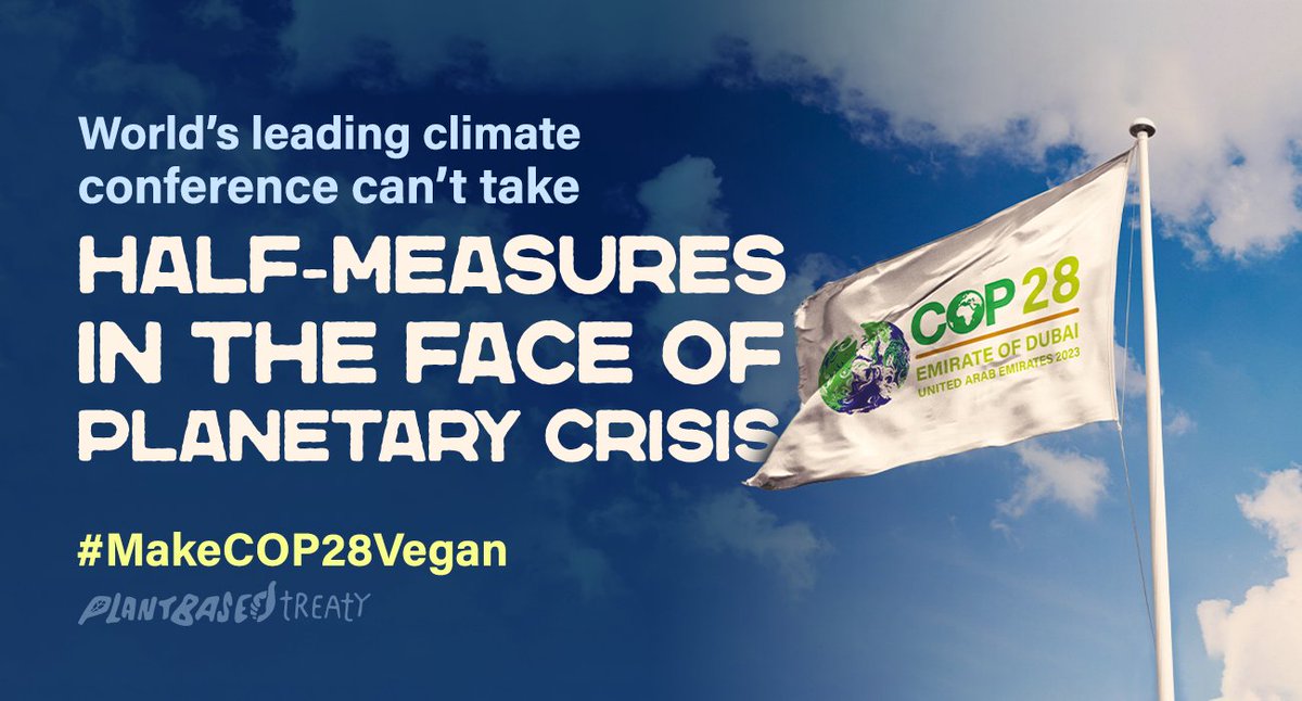 Our planet is burning. We can’t go halfway when it comes to climate solutions. Providing a few plant-based options is NOT enough - we call for a 100% plant-based catering at @COP28_UAE: ctt.ec/Ye64U+ #MakeCOP28Vegan