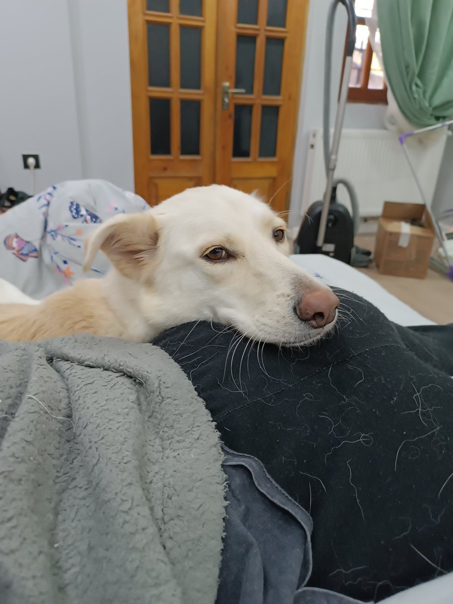 Очень удобно