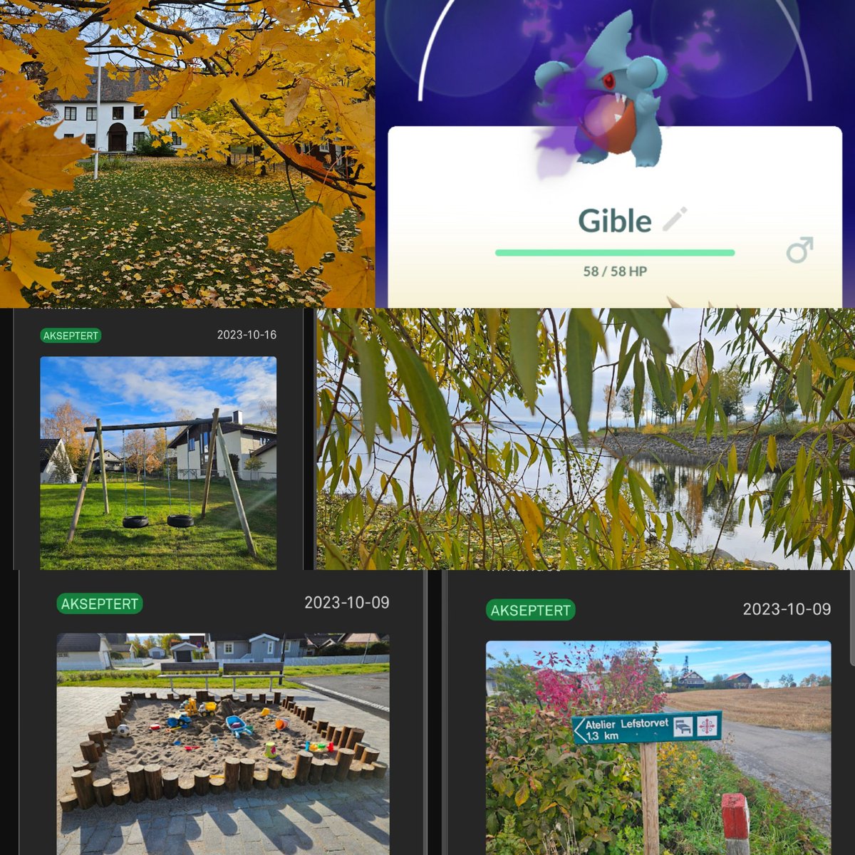 jenssen_lise's tweet photo. New in. Wayfarer is good to me. Pogo don't give me anything. 400 catches and raids. No shinys and no hundos. #autumn #wayfarer #pogo #shadowgible #terribleIV https://t.co/nWseHgmNT8