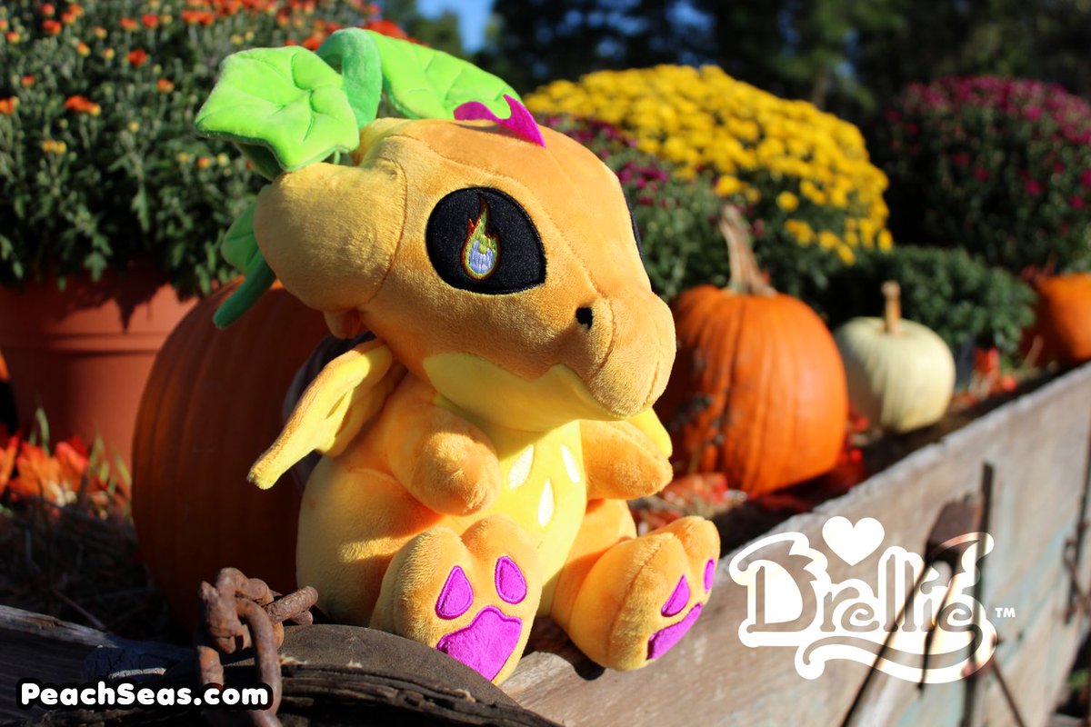 PeachSeas's tweet photo. Our Jack-O-Lantern Drellie is truly the pick of the patch 📷🎃

https://t.co/gLxN02vkaZ

~more photos to come~ https://t.co/6ASaOegOOK