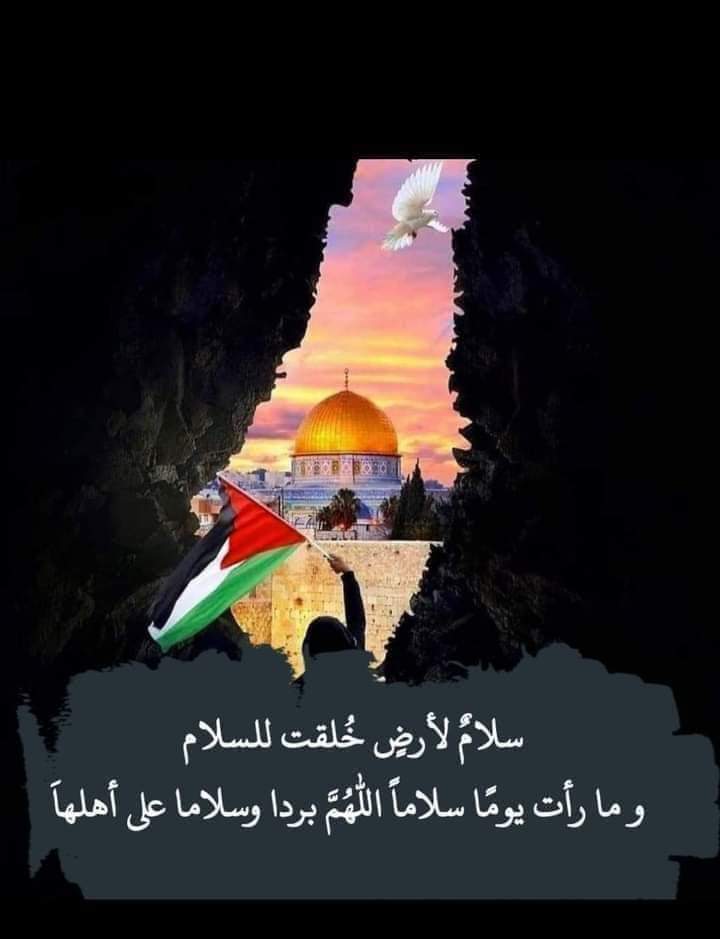 captenessam11's tweet image. 