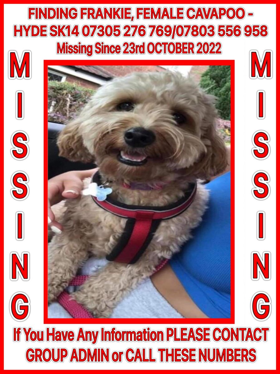 Missing Pets GB tweet media