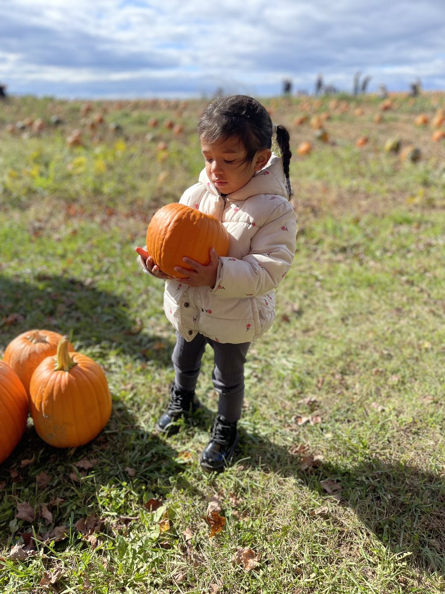 TheReal_Op's tweet photo. 🎃♥️ https://t.co/vhkrcXqfQ1