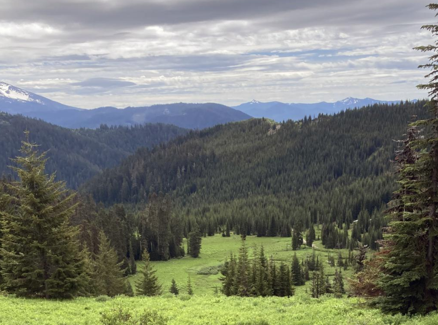 A new project, led by <a href="/Anthro_Coughlan/">Michael R. Coughlan</a>, from the Initiative for Resilient Organizations, Communities, and Environments (IROCE) explores historic land use practices to create a template for future sustainable &amp; resilient forest management #wildfire  
research.uoregon.edu/about/announce…